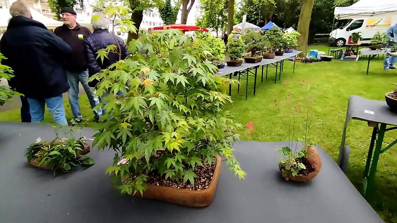 FESTIVAL L HUMOUR DES NOTES DU 4 AU 12 MAI 2024 A HAGUENAU