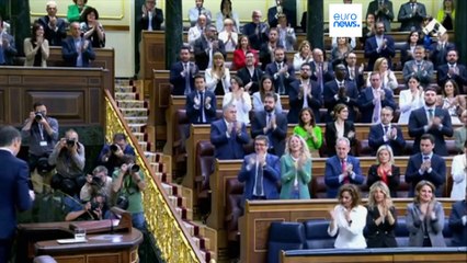 Испания и Ирландия вслед за Норвегией объявили о признании Палестины как государства с 28 мая