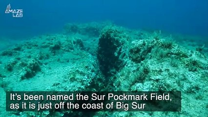 Mysterious Holes On the Seafloor Just Off the Coast of California Might Finally Have an Explanation