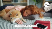 Este es el tiempo exacto que debe de durar una siesta según los expertos de la NASA