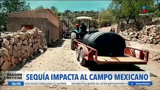 La falta de agua y la ausencia de lluvias impactan al campo mexicano