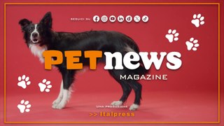 PetNews Magazine - 22/5/2024