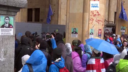 Venice Commission Recommends Georgia Repeal Controversial 'Foreign Influence' Law 🇬🇪