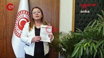 CHP'li Karaca hayvan haklarına ilişkin yapılacak düzenleme için o raporu örnek gösterdi