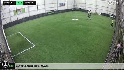 But de LE CEDRE BLEU - Team A