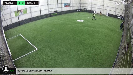 But de LE CEDRE BLEU - Team A