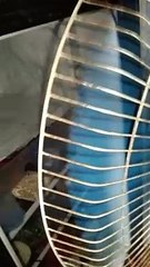 video_20240520_102452