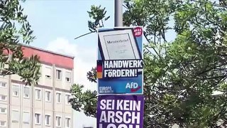 Alemania vive pendiente del efecto de los escándalos de AfD en las elecciones europeas
