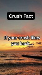 Crush Fact | Unveiling the Mystery: Fascinating Facts About Crushes | Creative Comedy And Facts.