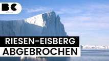 Antarktis: Gigantischer Eisberg löst sich von Brunt-Schelfeis!