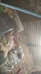 video_20240522_205505