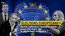Quelle influence l’extrême droite peut-elle avoir sur le parlement européen ?