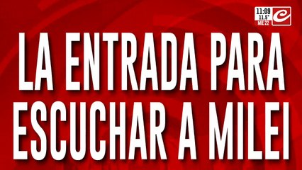 Esta es la entrada para asistir al show de Milei en el Luna Park