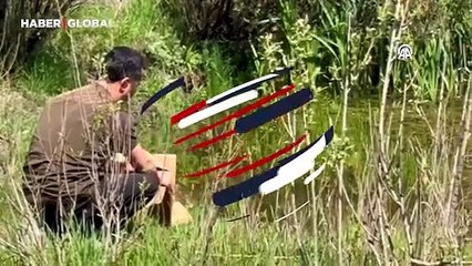 Atletizm sahasında dünyaya gelen ördekler doğaya bırakıldı
