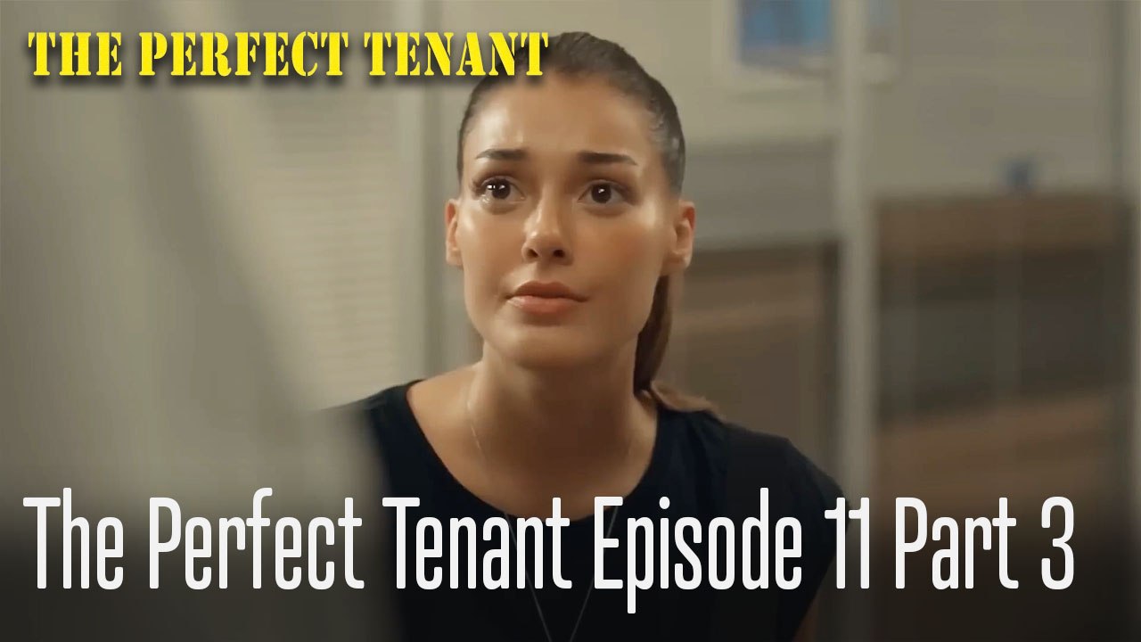 The Perfect Tenant  Episode 11 Part 3