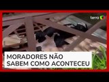 Bombeiros resgatam vaca presa no telhado de casa em Santa Catarina