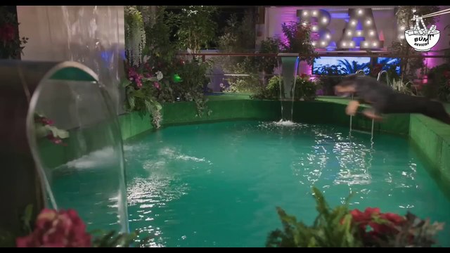 Chó cảnh sát triệt phá đường dây buôn lậu động vật - REVIEW PHIM- BIỆT ĐỘI THÚ CƯNG BÚN REVIEW