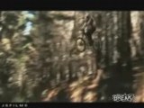 Biker Crashes Into Tree