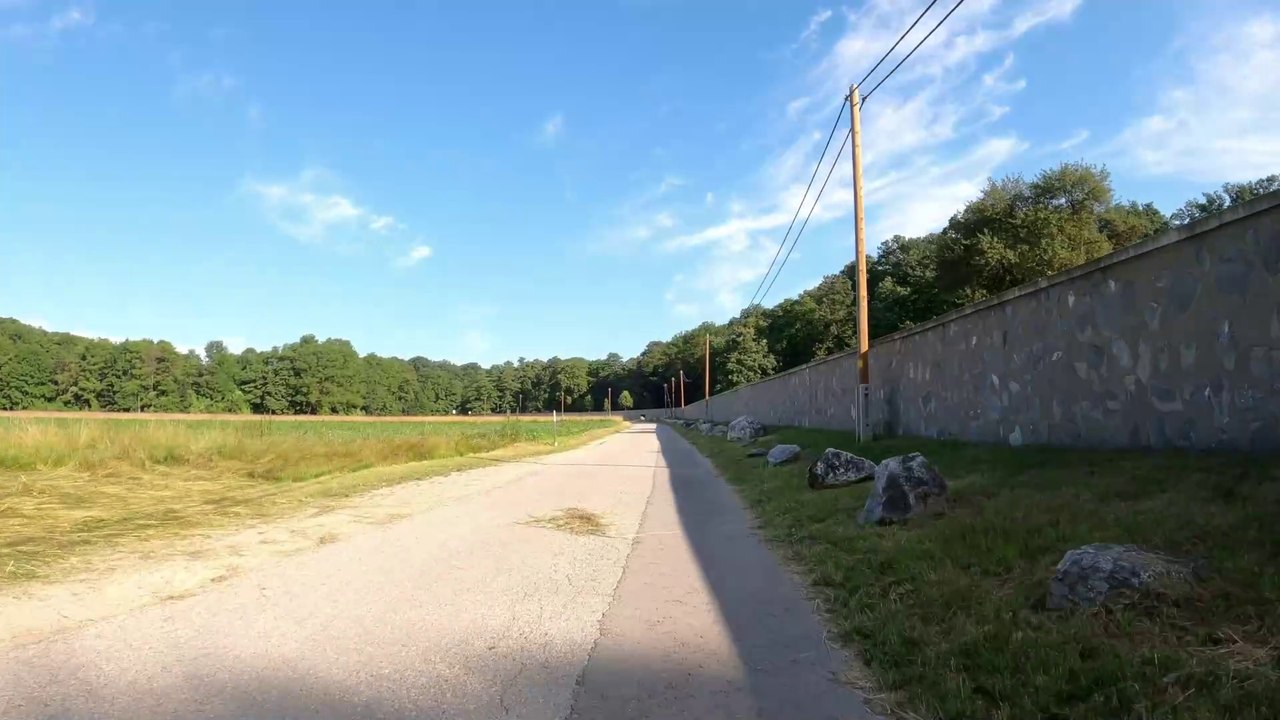 Zum Gütenbachtor: MTB Lainzer Tiergarten-Strecke (9)