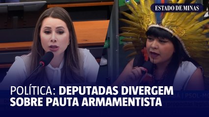 Deputadas divergem sobre pauta armamentista