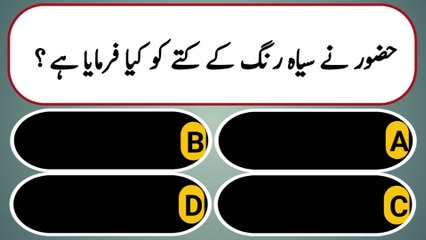 Lajwab Urdu Islamic Paheliyan 2024 | Islamic knowledge | Best Islamic Quiz