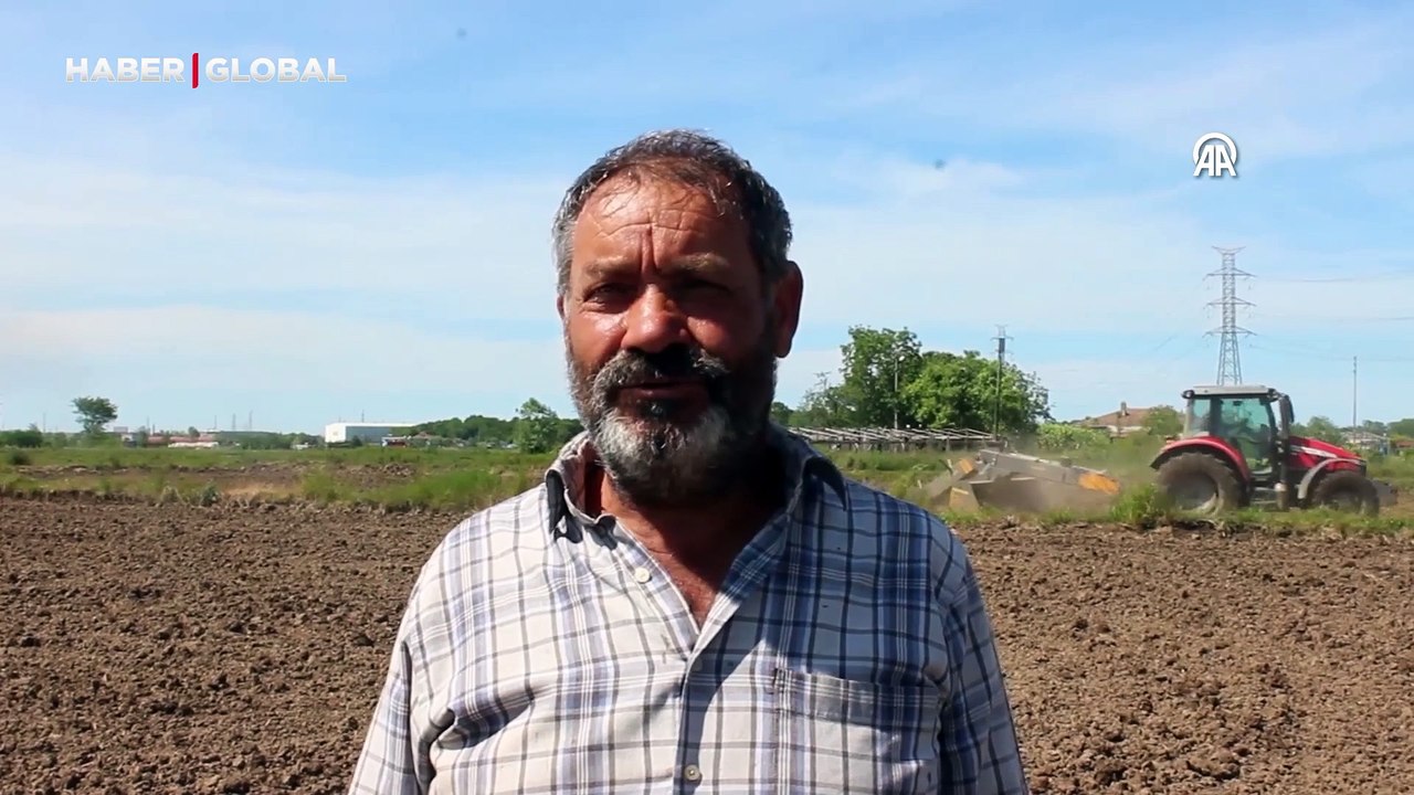 Çiftçilerden çeltik ekimi için hazırlık: Susuz tarım da yapılacak