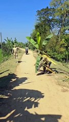 إضحك حتى الموت