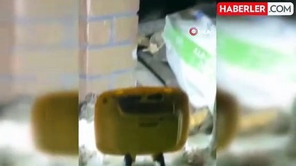 Osmaniye'de evin bahçesine giren zehirli yılan yakalandı