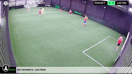 But de emrys - les triso