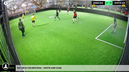 But de Elyes BEN DHIA - WHITE AND CASE