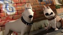 Creature Comforts Creature Comforts S02 E010 Bed Time
