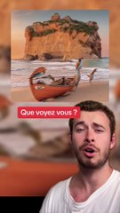 Que voyez vous ? (Exclu Dailymotion)