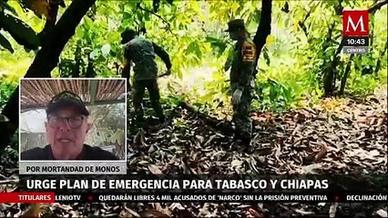 "La Semarnat no ha hecho nada": Azcarm por monos muertos en Tabasco