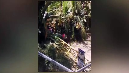 ext-accidente-220524