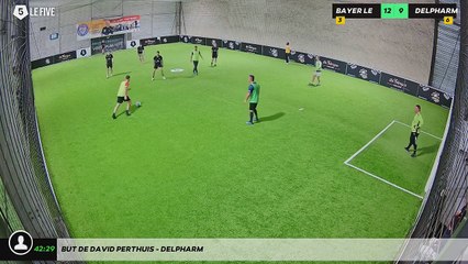 But de DAVID PERTHUIS - DELPHARM