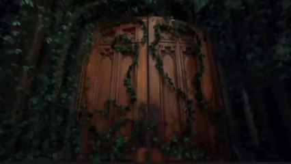 Evolution of IVE (Eleven-Accendio)_ One of the BEST Kpop Girl Groups Ever!