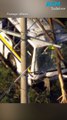 Driver dies in regional Victoria school bus crash