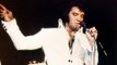 Elvis Presley’s Graceland home sale has been halted by a judge after the singer’s family branded it 'fraudulent'