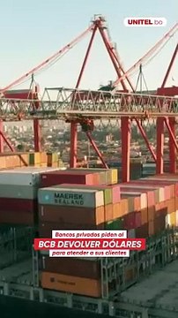 Asoban pide al BCB que le devuelva dólares entregados como garantía para que bancos atiendan demanda de divisas