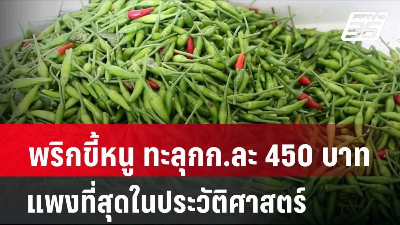 พริกขี้หนู ทะลุกก.ละ 450 บาท แพงที่สุดในประวัติ...
