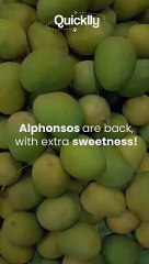 LOOKING FOR WHERE TO FIND ALPHONSO MANGOES
