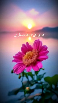 Islamic video| Educational videos