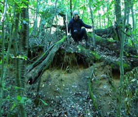 Building an underground shelter  40 days
