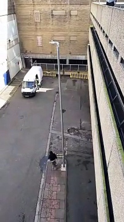 no no