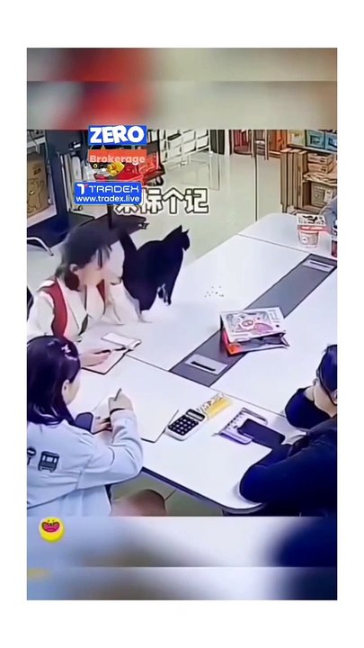 wait for end 
