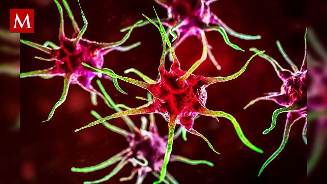 ¿Bacterias en tu aire acondicionado? Consejos para detectarlas y evitar problemas respiratorios