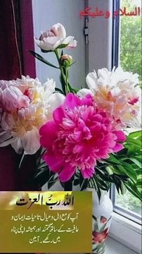 VIDEO_bcc970c2-4179-4055-b30b-46da58df3267