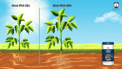 Shriram Fegro: Enhancing Plant Growth with Iron-Enriched Formula