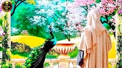 Hazrat Mussa (a_s) Aur Jannati Kasai Ka Waqiya(720P_HD)