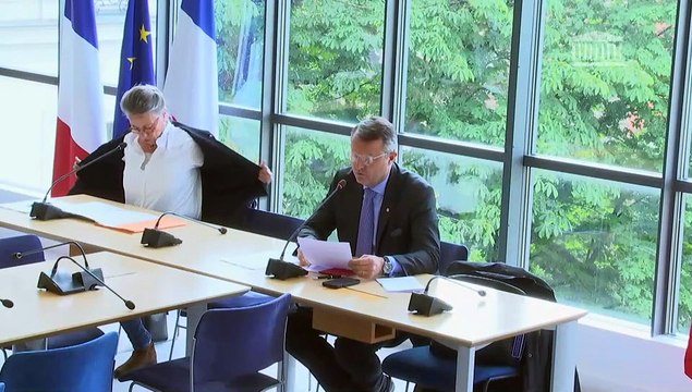 Commission des affaires européennes : Condamner la dérive illibérale du gouvernement géorgien ; Souveraineté industrielle européenne - Mercredi 22 mai 2024